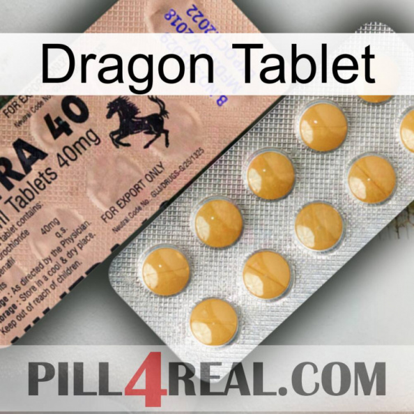 Dragon Tablet 41.jpg